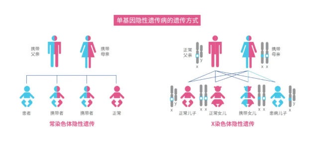 年！16次！3200针！白冰冰自曝试管求子血泪史！高龄生育的医学极限究竟在哪里？"