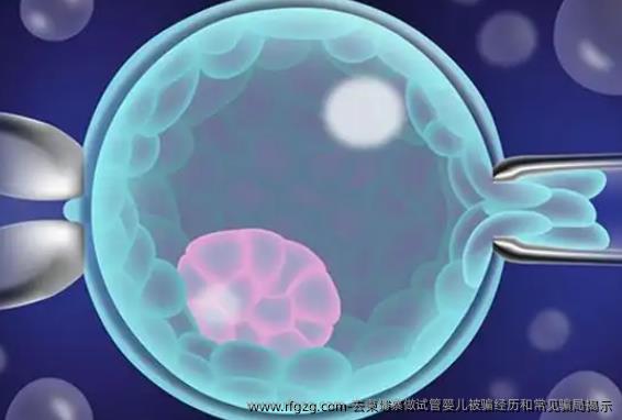去柬埔寨做代孕被骗经历和常见骗局揭示