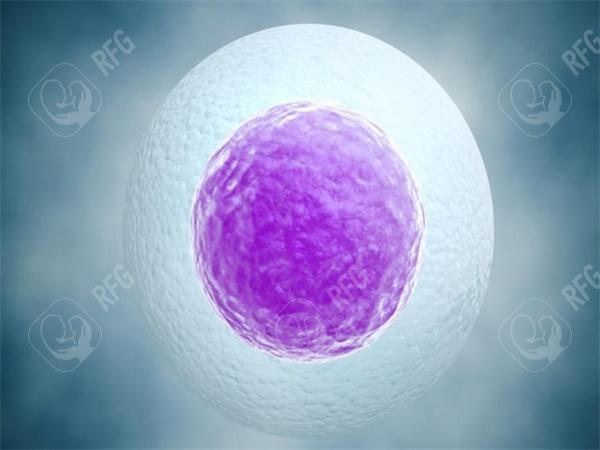南通妇幼保健院试管婴儿多少钱？试管婴儿价格贵不贵？