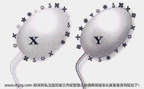 郑州找私立医院做三代代孕的费用明细表认真看看就有规划了！