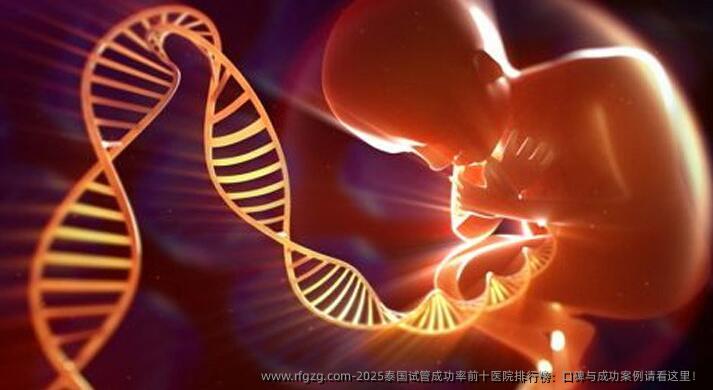 2025泰国试管成功率前十医院排行榜：口碑与成功案例请看这里！