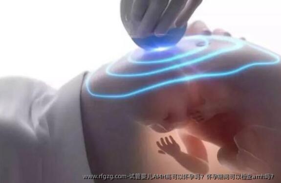 代孕AMH高可以怀孕吗？怀孕期间可以检查amh吗？