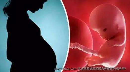 做试管要进周期因为体重影响成功率?  