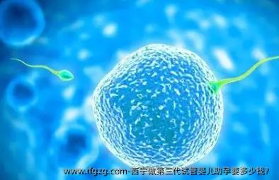 西宁做第三代代孕助孕要多少钱？