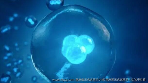 重庆做三代试管多少钱?重庆第三代代孕生孩子攻略