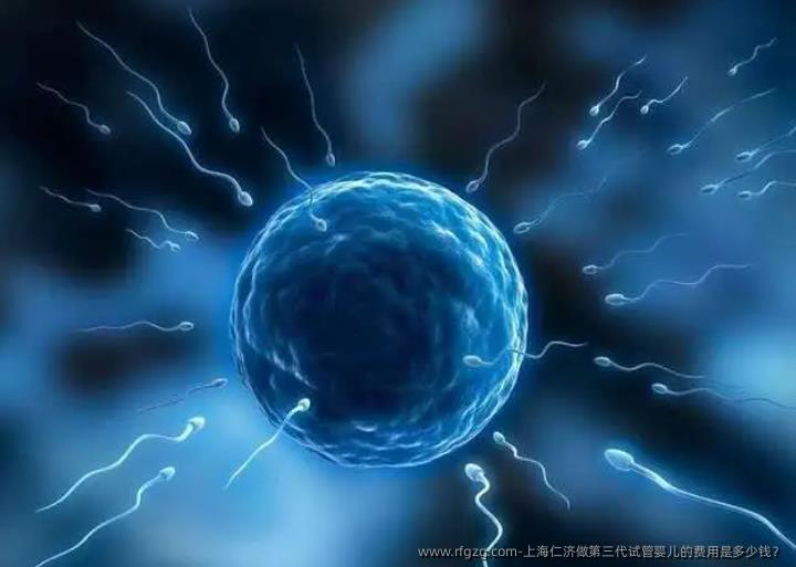 上海仁济做第三代代孕的费用是多少钱？