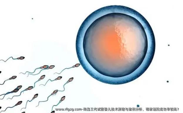 南昌三代试管婴儿技术原理与案例分析，哪家医院成功率较高？