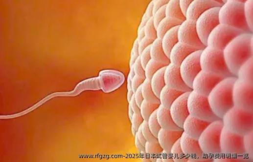 2025年日本代孕多少钱，助孕费用明细一览