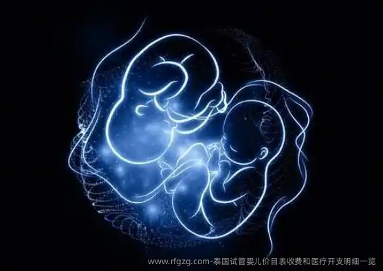 泰国代孕价目表收费和医疗开支明细一览