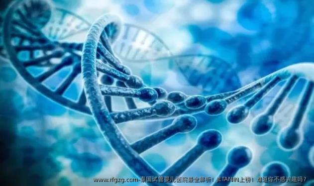 泰国代孕医院最全解析！JETANIN上榜！难道你不感兴趣吗？