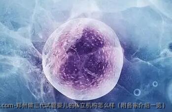 郑州做三代代孕的私立机构怎么样（附各家介绍一览）