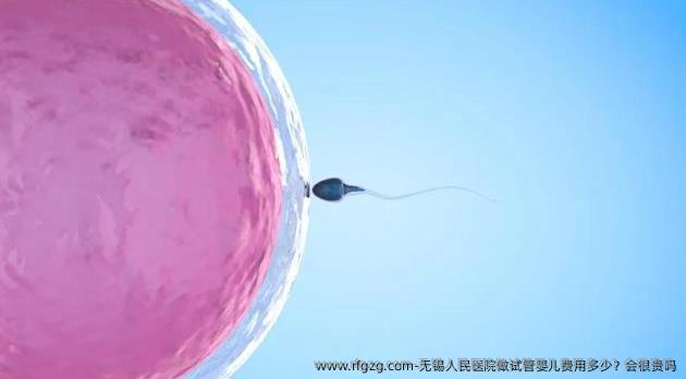 无锡人民医院做代孕费用多少？会很贵吗