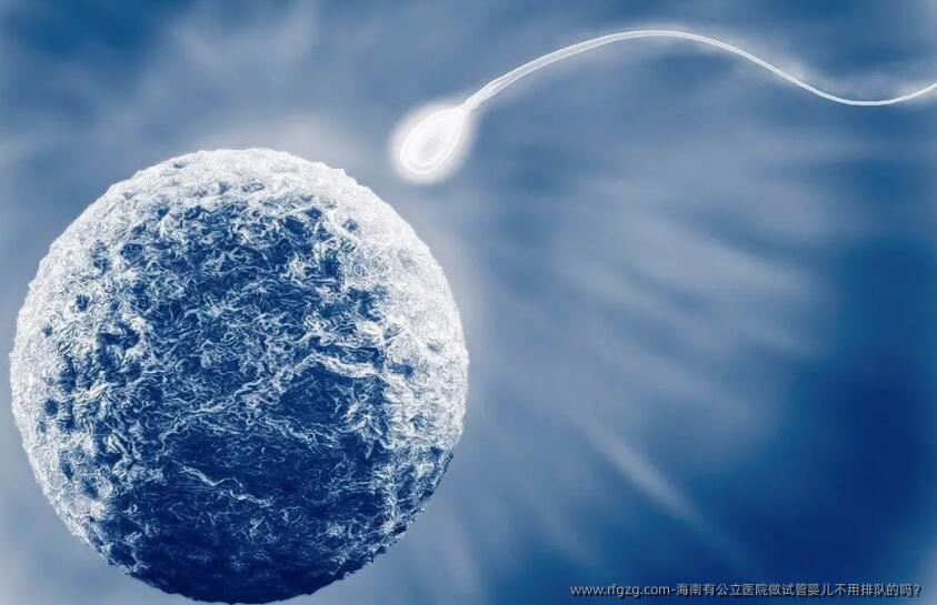 海南有公立医院做代孕不用排队的吗？