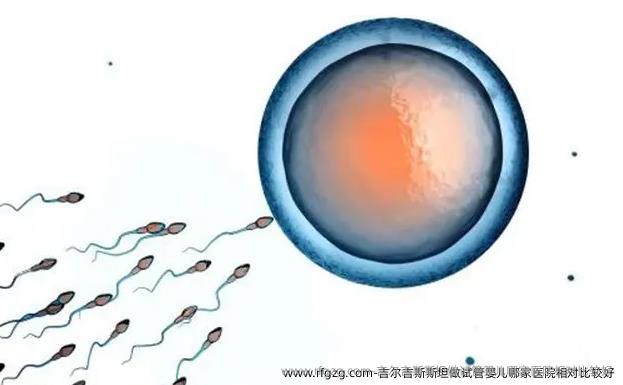 吉尔吉斯斯坦做代孕哪家医院相对比较好