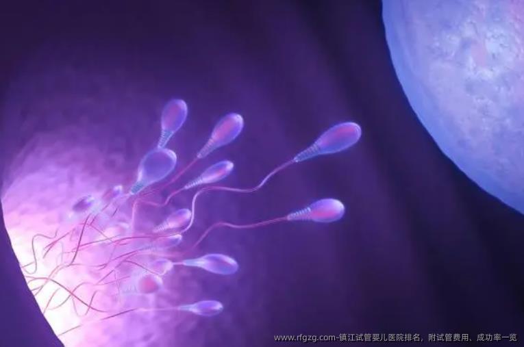 镇江代孕医院排名，附试管费用、成功率一览