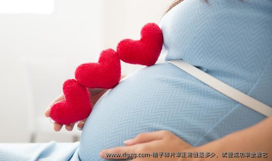 精子碎片率正常值是多少，试管成功率全靠它