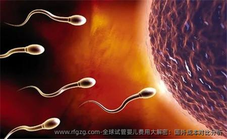 全球代孕费用大解密：国外成本对比分析