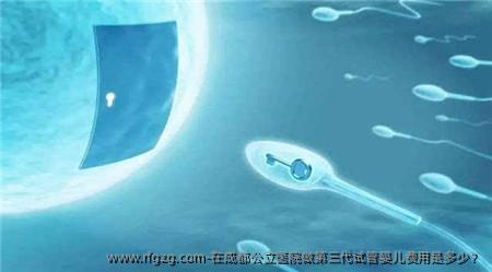 在成都公立医院做第三代代孕费用是多少？