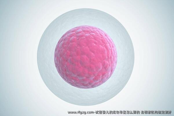 代孕的成功率是怎么算的 去哪家机构做效果好