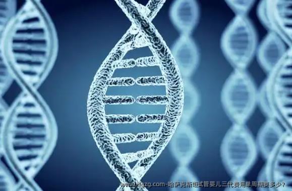 哈萨克斯坦代孕三代费用单周期要多少？