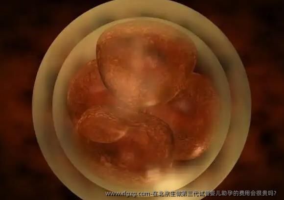 在北京生做第三代代孕助孕的费用会很贵吗？