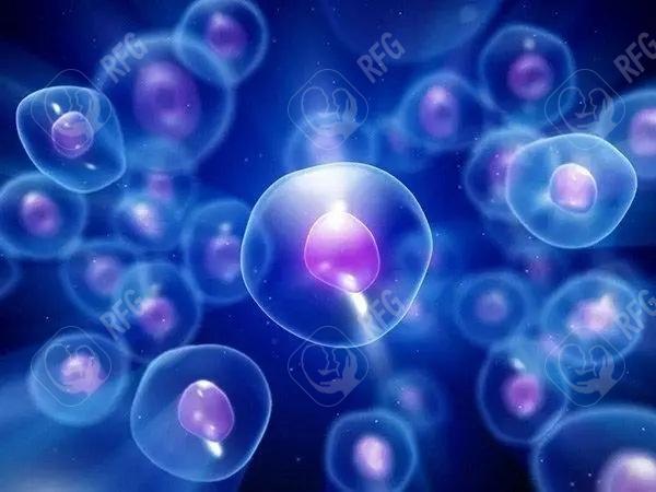 2025年在黔西市做试管婴儿费用多少？成功率如何？