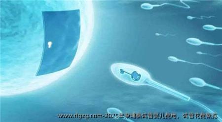 2025年柬埔寨代孕费用，试管花费概览