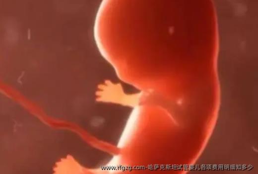 哈萨克斯坦代孕各项费用明细知多少