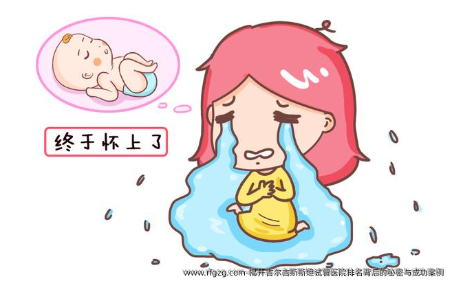 揭开吉尔吉斯斯坦试管医院排名背后的秘密与成功案例 