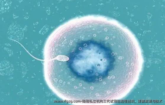揭阳私立机构三代试管能**吗，详解政策与技术