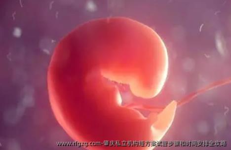 肇庆私立机构短方案试管步骤和时间安排全攻略