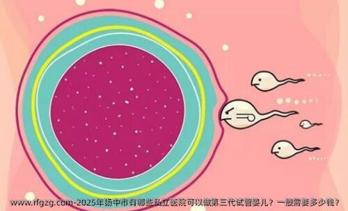 2025年扬中市有哪些私立医院可以做第三代代孕？一般需要多少钱？