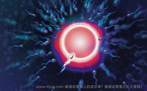 泰国代孕的成功率？泰国代孕三大医院？