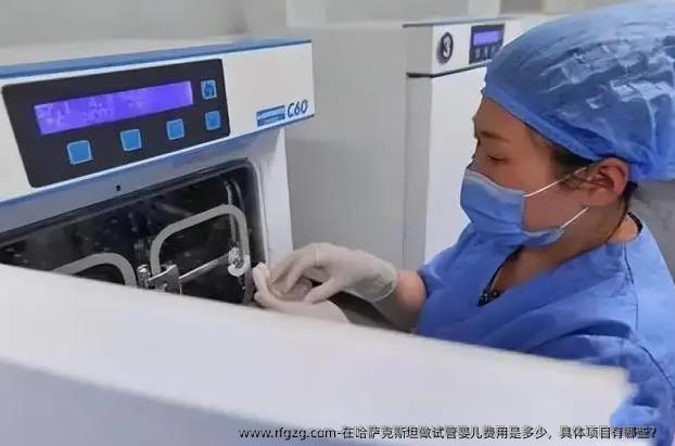 在哈萨克斯坦做代孕费用是多少，具体项目有哪些？ 